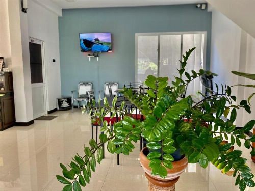 Mountain White Villa by Sunrise image 36